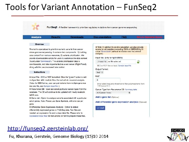 Tools for Variant Annotation – Fun. Seq 2 http: //funseq 2. gersteinlab. org/ Fu,