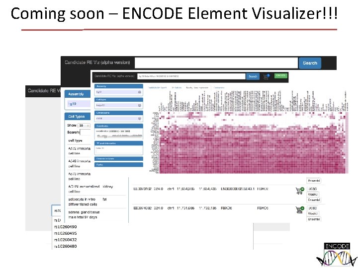 Coming soon – ENCODE Element Visualizer!!! 