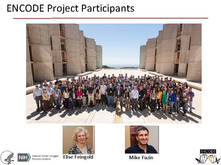 ENCODE Project Participants 18 Elise Feingold Mike Pazin 