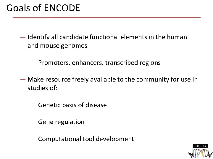 Goals of ENCODE Identify all candidate functional elements in the human and mouse genomes