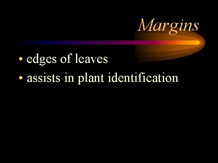 Margins • edges of leaves • assists in plant identification 