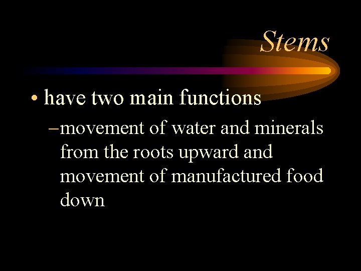 Stems • have two main functions – movement of water and minerals from the