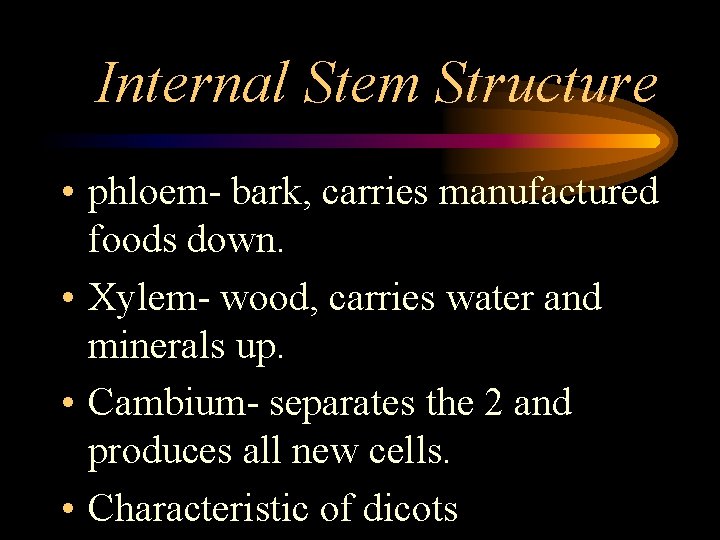 Internal Stem Structure • phloem- bark, carries manufactured foods down. • Xylem- wood, carries