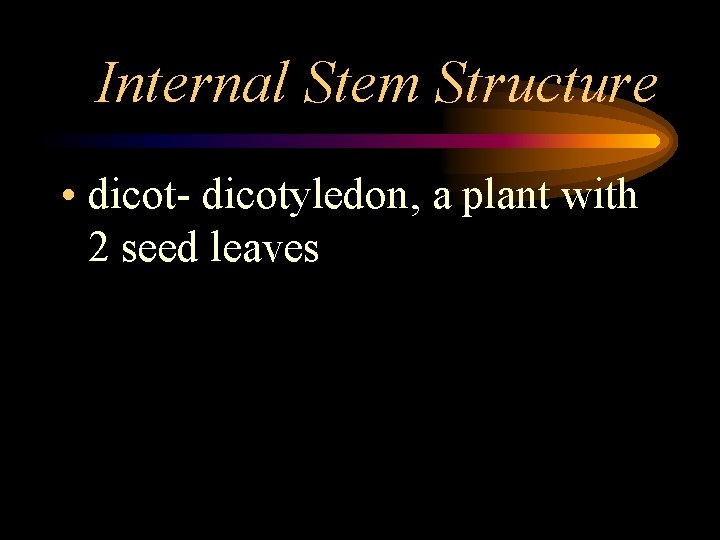 Internal Stem Structure • dicot- dicotyledon, a plant with 2 seed leaves 