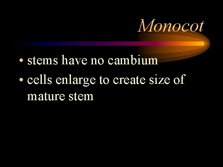 Monocot • stems have no cambium • cells enlarge to create size of mature