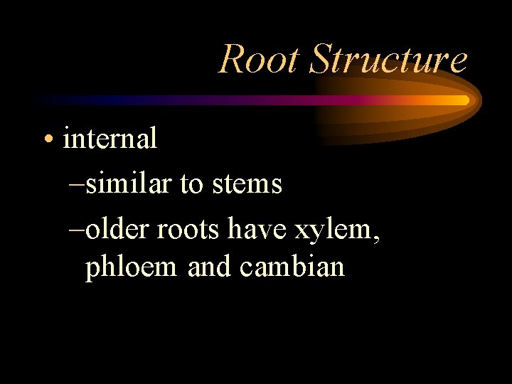 Root Structure • internal –similar to stems –older roots have xylem, phloem and cambian