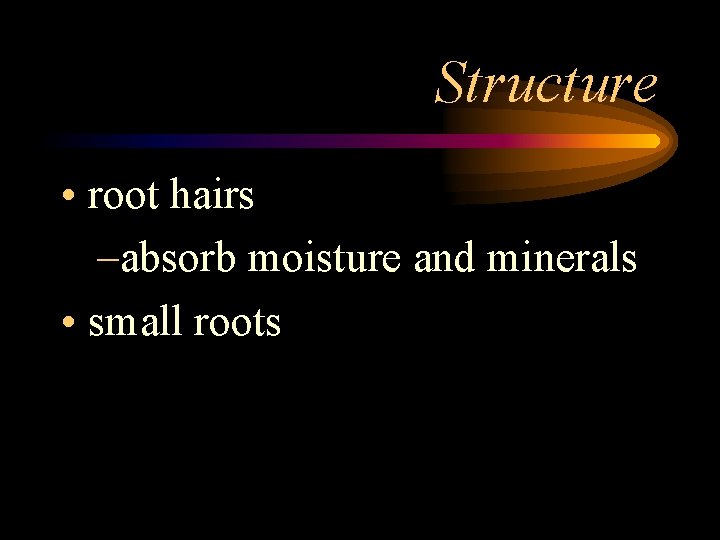 Structure • root hairs –absorb moisture and minerals • small roots 