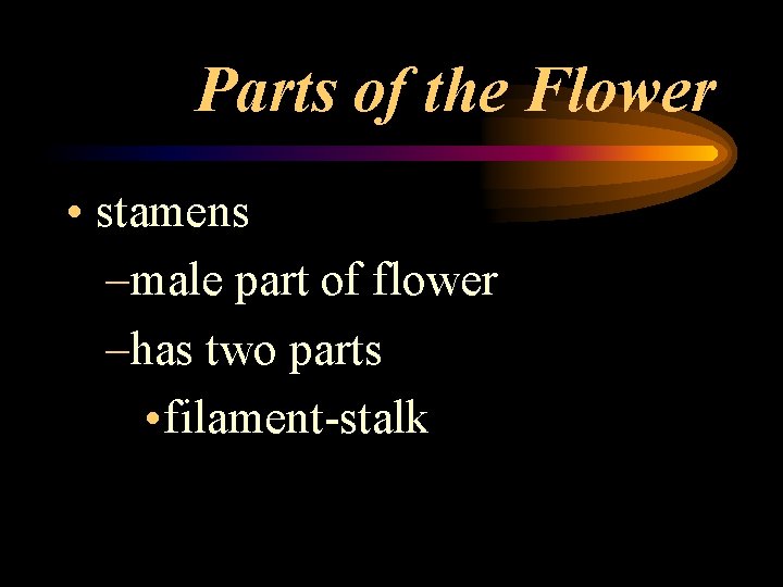 Parts of the Flower • stamens –male part of flower –has two parts •