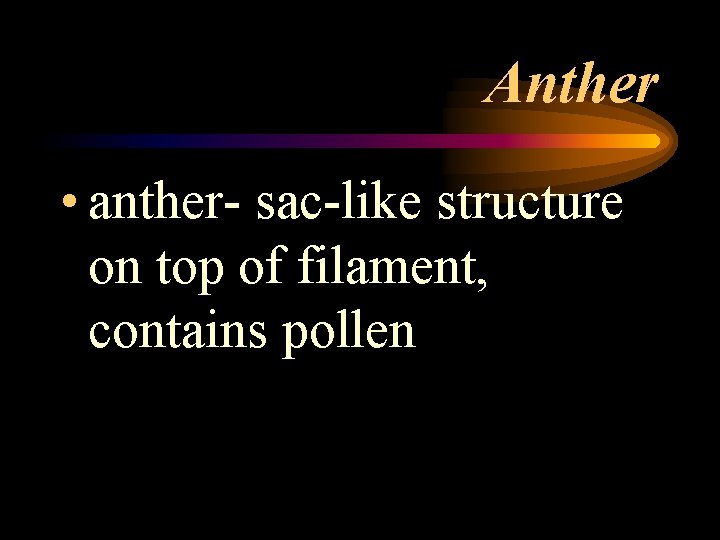 Anther • anther- sac-like structure on top of filament, contains pollen 