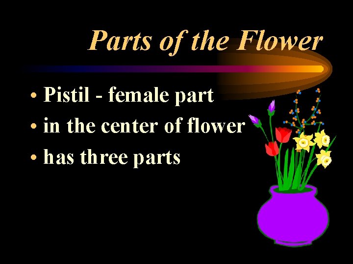 Parts of the Flower • Pistil - female part • in the center of