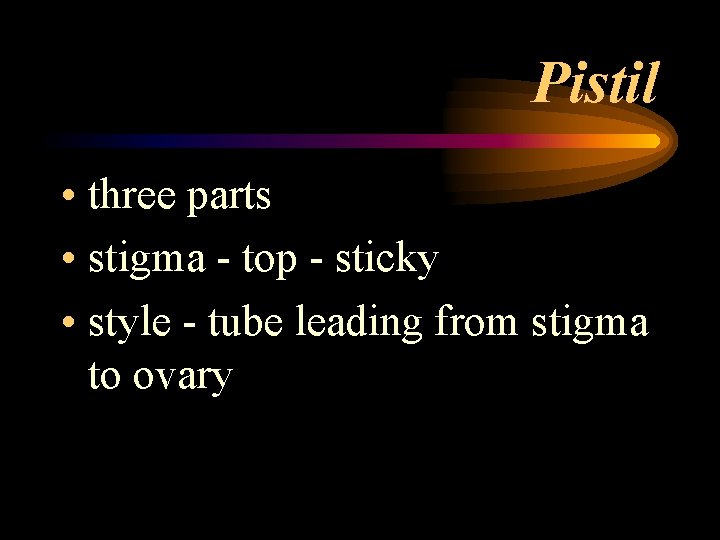 Pistil • three parts • stigma - top - sticky • style - tube