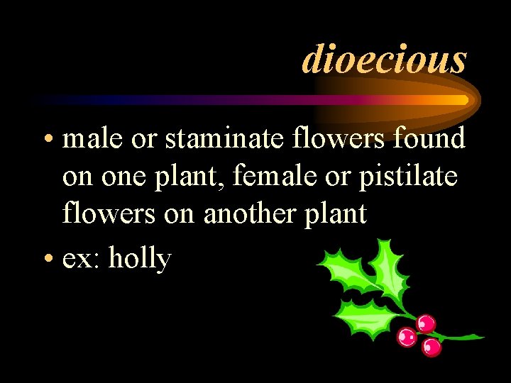 dioecious • male or staminate flowers found on one plant, female or pistilate flowers