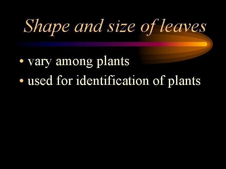 Shape and size of leaves • vary among plants • used for identification of