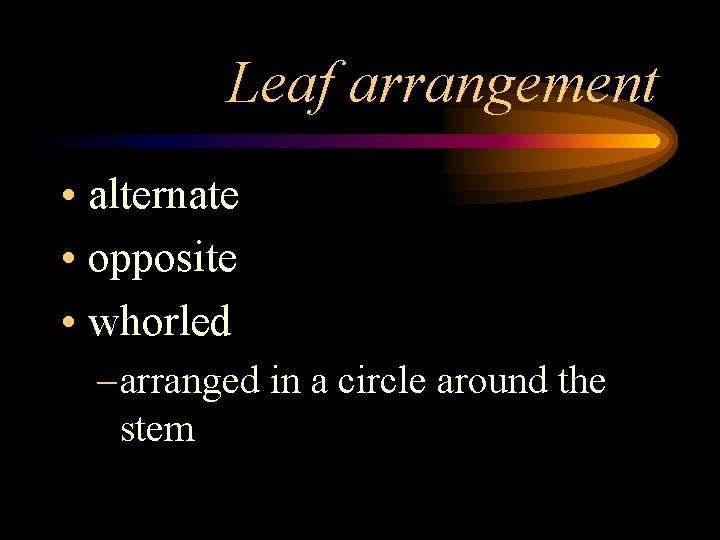 Leaf arrangement • alternate • opposite • whorled – arranged in a circle around