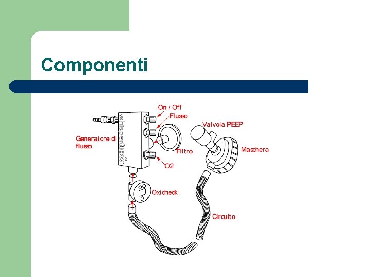 Componenti 