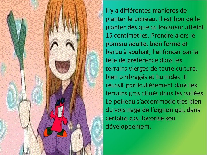 Le Poireau Attention Pps Tres Long Et Poilu
