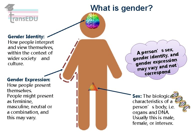 What is gender? Gender Identity: How people interpret and view themselves, within the context