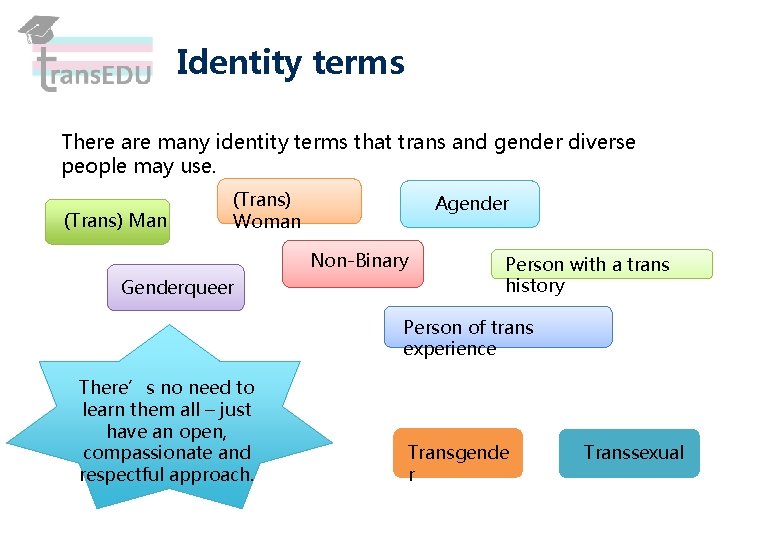 Identity terms There are many identity terms that trans and gender diverse people may