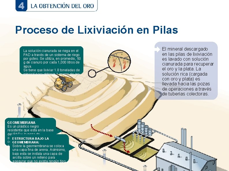 Proceso de Lixiviación en Pilas La solución cianurada se riega en el PAD a Proceso de Lixiviación en Pilas La solución cianurada se riega en el PAD a