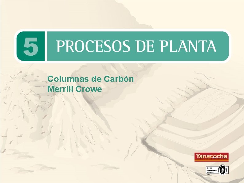 Columnas de Carbón Merrill Crowe Columnas de Carbón Merrill Crowe