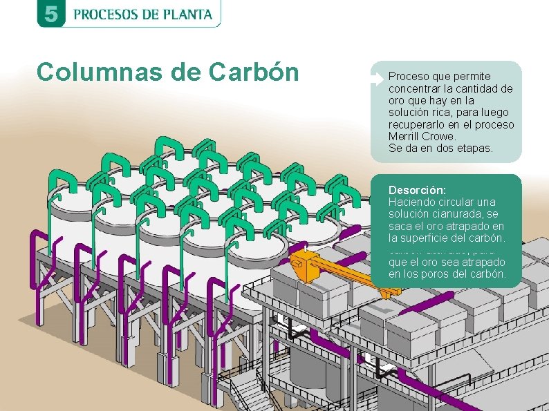 Columnas de Carbón Proceso que permite concentrar la cantidad de oro que hay en Columnas de Carbón Proceso que permite concentrar la cantidad de oro que hay en