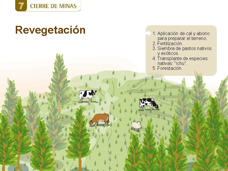 Revegetación 1. Aplicación de cal y abono para preparar el terreno. 2. Fertilización. 3. Revegetación 1. Aplicación de cal y abono para preparar el terreno. 2. Fertilización. 3.