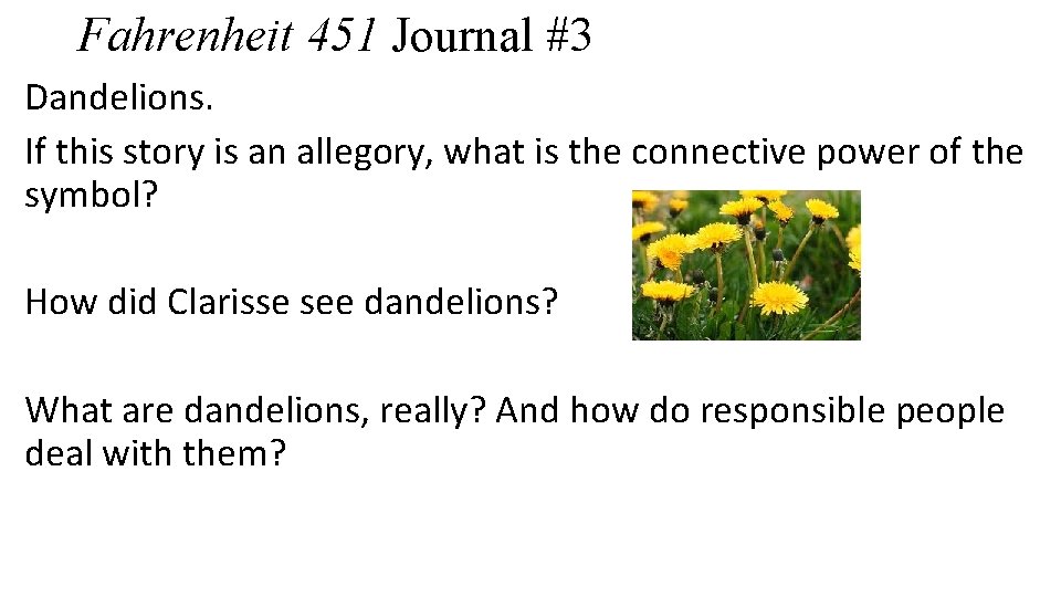 Fahrenheit 451 Journal #3 Dandelions. If this story is an allegory, what is the