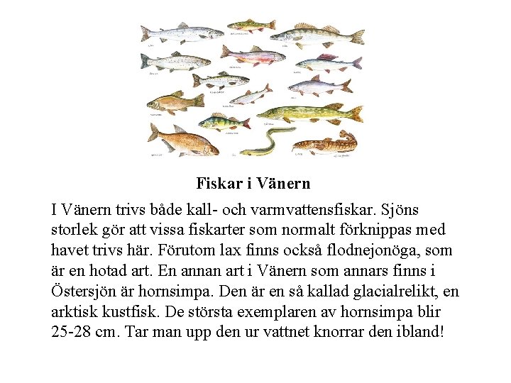 Fiskar i Vänern I Vänern trivs både kall- och varmvattensfiskar. Sjöns storlek gör att