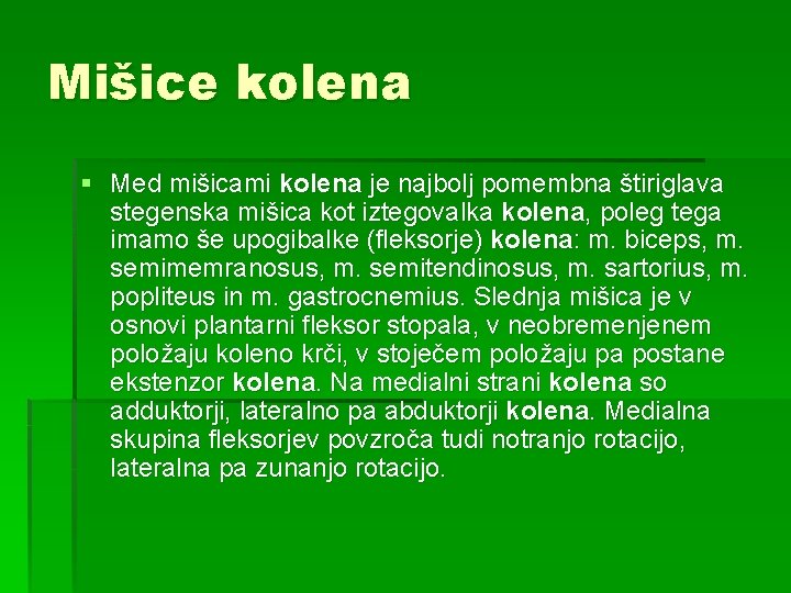 Mišice kolena § Med mišicami kolena je najbolj pomembna štiriglava stegenska mišica kot iztegovalka