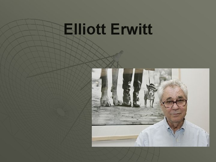 Elliott Erwitt 