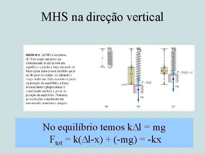 MHS na direção vertical No equilíbrio temos k. Dl = mg Ftot = k(Dl-x)