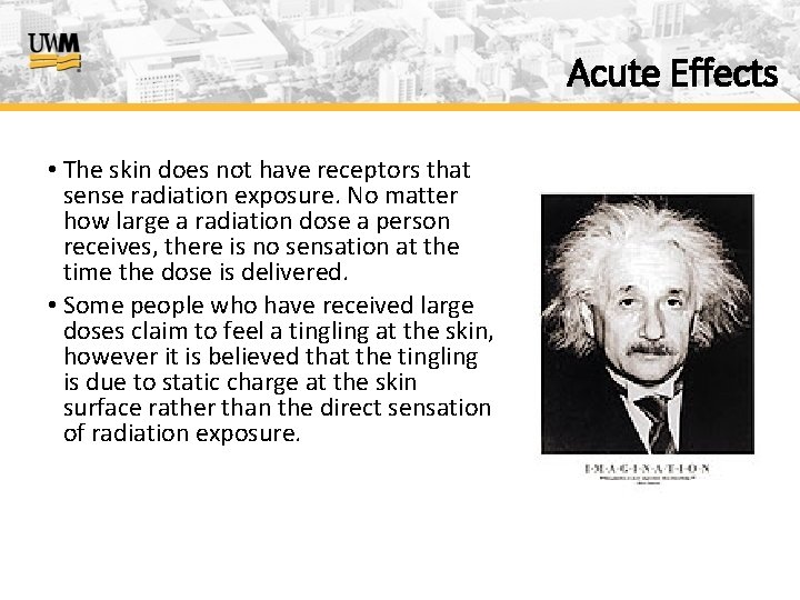 Acute Effects • The skin does not have receptors that sense radiation exposure. No