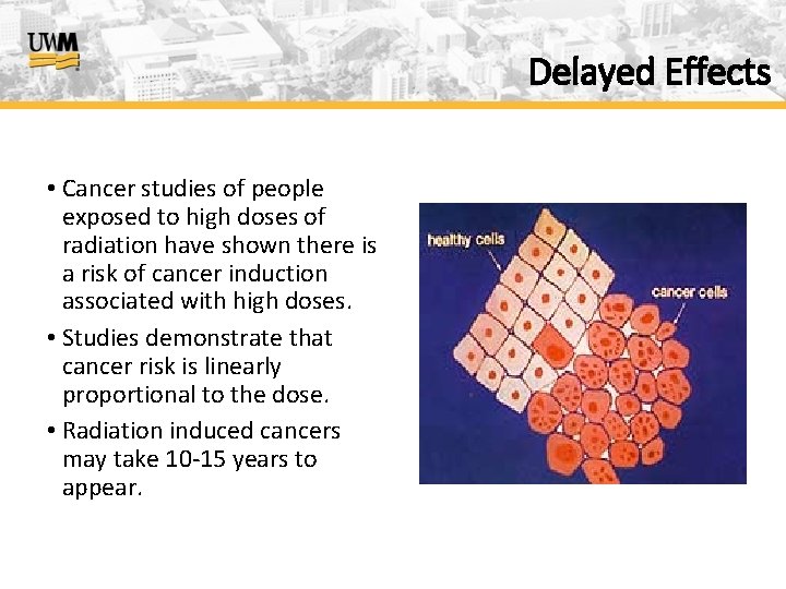 Delayed Effects • Cancer studies of people exposed to high doses of radiation have