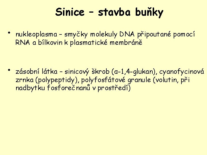 Sinice – stavba buňky • • nukleoplasma – smyčky molekuly DNA připoutané pomocí RNA