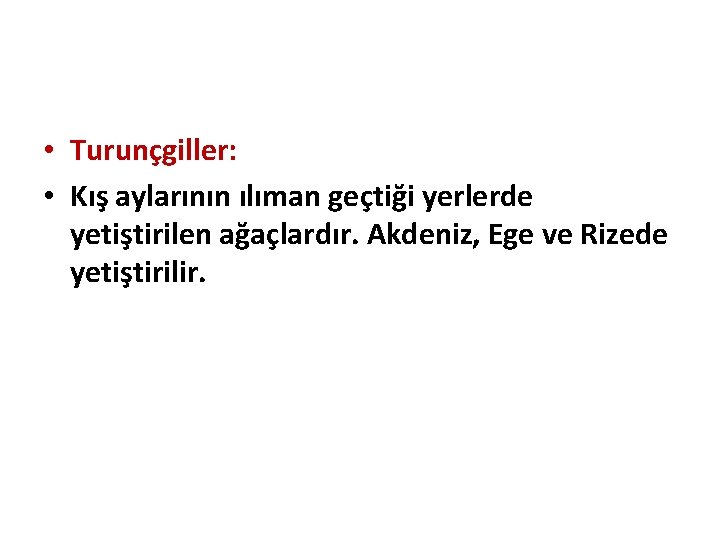  • Turunçgiller: • Kış aylarının ılıman geçtiği yerlerde yetiştirilen ağaçlardır. Akdeniz, Ege ve