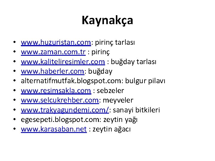 Kaynakça • • • www. huzuristan. com: pirinç tarlası www. zaman. com. tr :