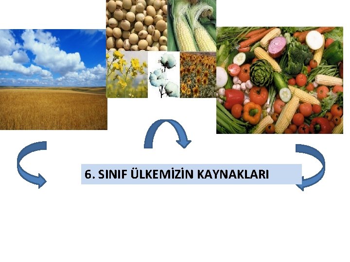 6. SINIF ÜLKEMİZİN KAYNAKLARI 