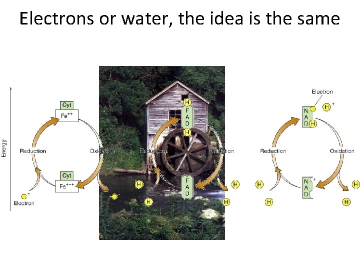 Electrons or water, the idea is the same 