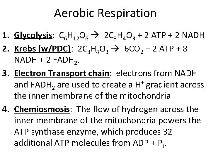 Aerobic Respiration 1. Glycolysis: C 6 H 12 O 6 2 C 3 H