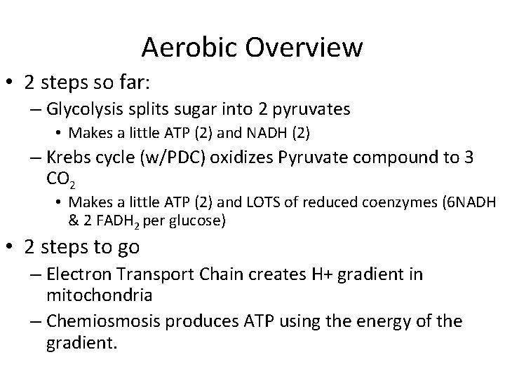 Aerobic Overview • 2 steps so far: – Glycolysis splits sugar into 2 pyruvates