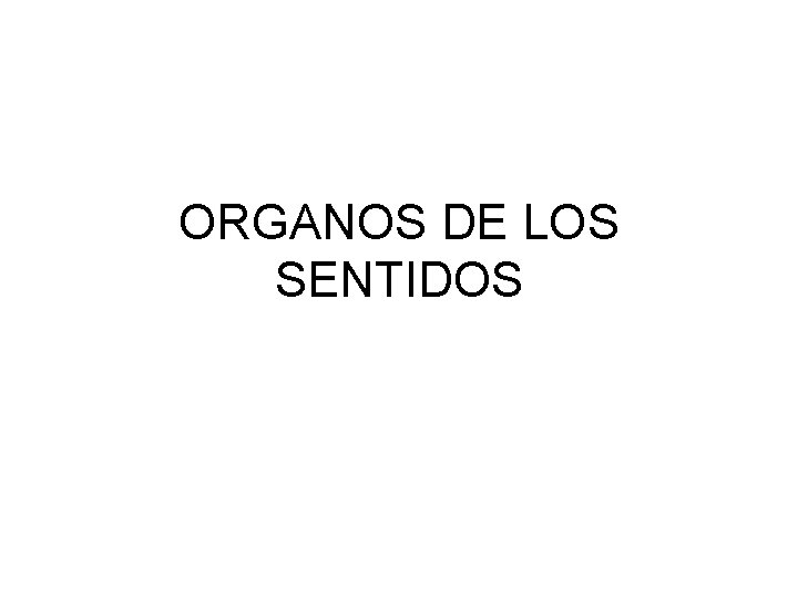 ORGANOS DE LOS SENTIDOS 