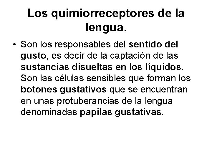 Los quimiorreceptores de la lengua. • Son los responsables del sentido del gusto, es