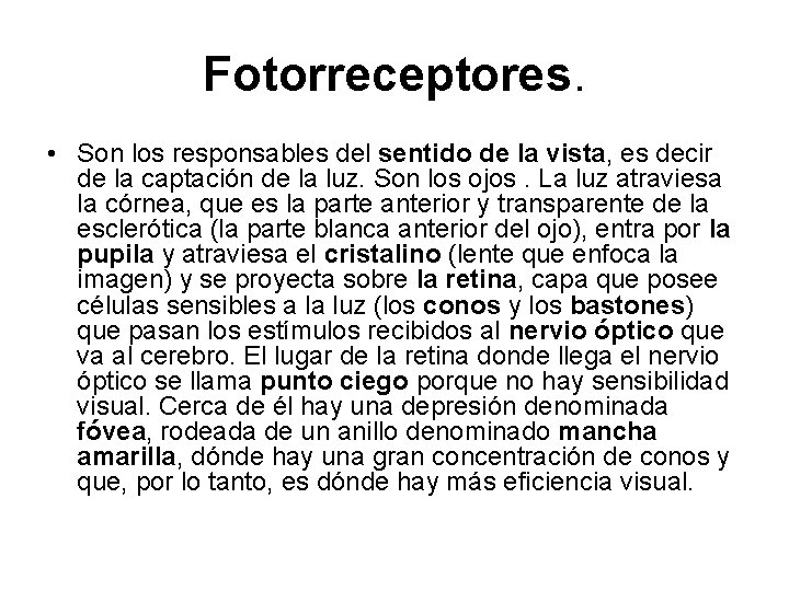 Fotorreceptores. • Son los responsables del sentido de la vista, es decir de la