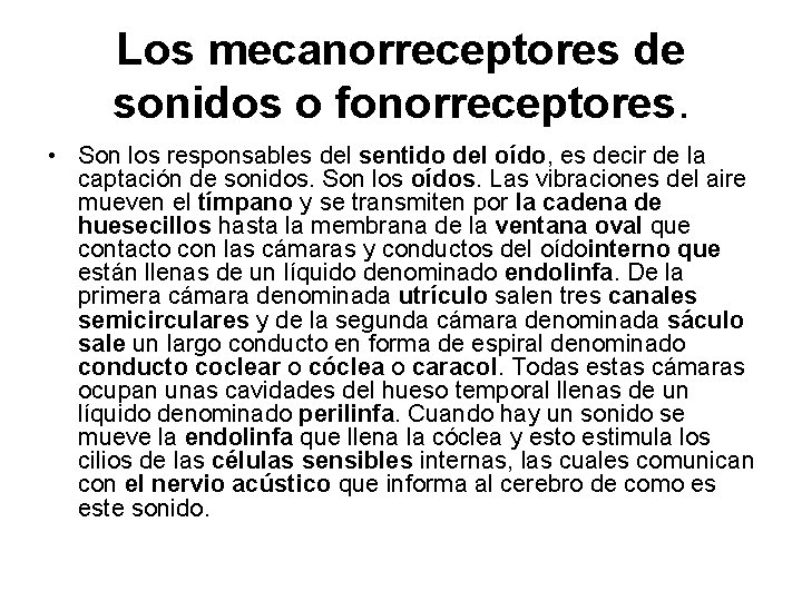 Los mecanorreceptores de sonidos o fonorreceptores. • Son los responsables del sentido del oído,