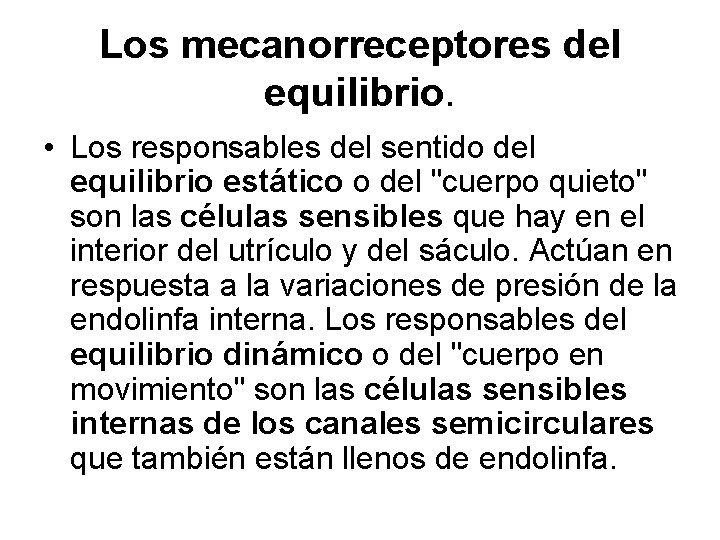 Los mecanorreceptores del equilibrio. • Los responsables del sentido del equilibrio estático o del