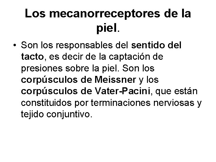 Los mecanorreceptores de la piel. • Son los responsables del sentido del tacto, es