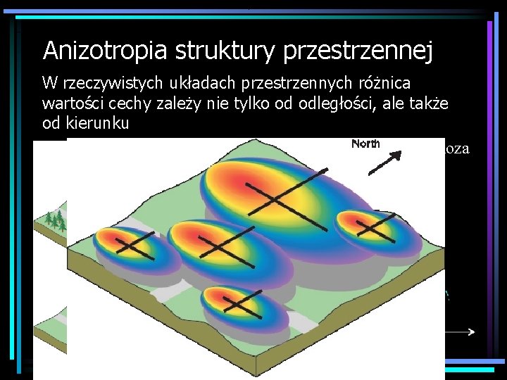 Anizotropia struktury przestrzennej W rzeczywistych układach przestrzennych różnica wartości cechy zależy nie tylko od