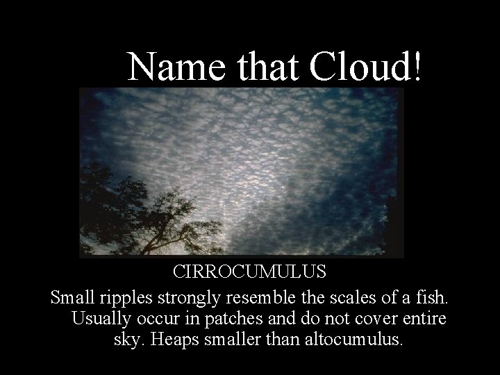 Name that Cloud! CIRROCUMULUS Small ripples strongly resemble the scales of a fish. Usually