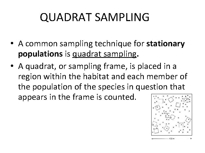 QUADRAT SAMPLING • A common sampling technique for stationary populations is quadrat sampling. •