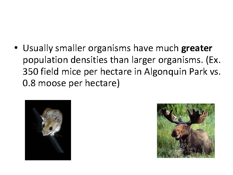  • Usually smaller organisms have much greater population densities than larger organisms. (Ex.